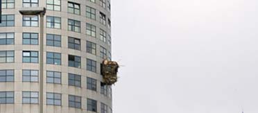 21_nest rotterdam nest
