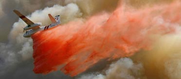 california forest fire