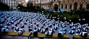photo courtesy of ADivertido pandas invade paris