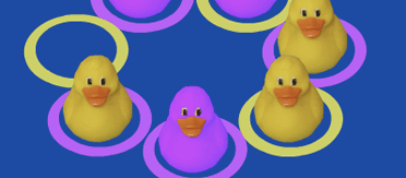 duck