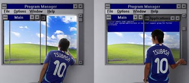 windows window