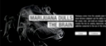 marijuana dulls the brain