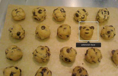 iPhoto Panda Cookie image credit: Flickr