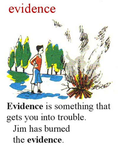 My First Dictionary: Evidence (image credit: My First Dictionary)