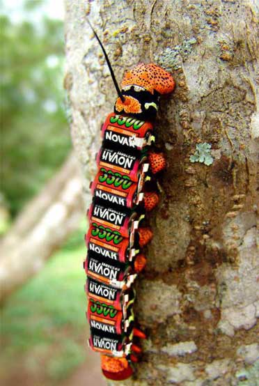 Battery Powered Centipede Battery Powered Centipede