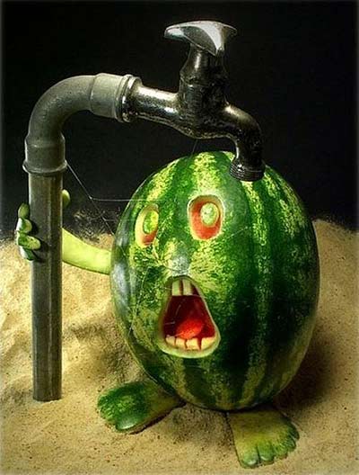 food sculptures - dehydrated watermelon food sculptures - dehydrated watermelon