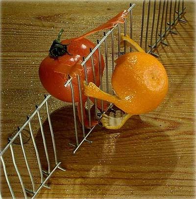 food sculptures - tomato stops orange from escaping food sculptures - tomato stops orange from escaping