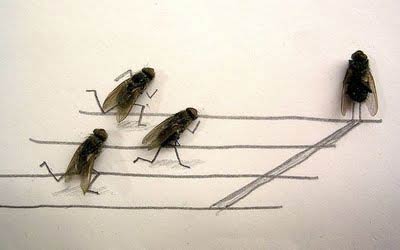 Dead Fly Art - Flies Running Dead Fly Art - Flies Running