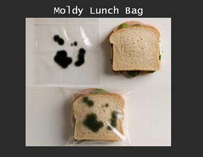 Anti-theft inventions - moldy lunch bag Anti-theft inventions - moldy lunch bag
