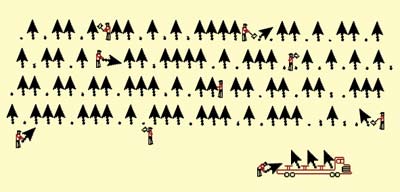 where cursors come from